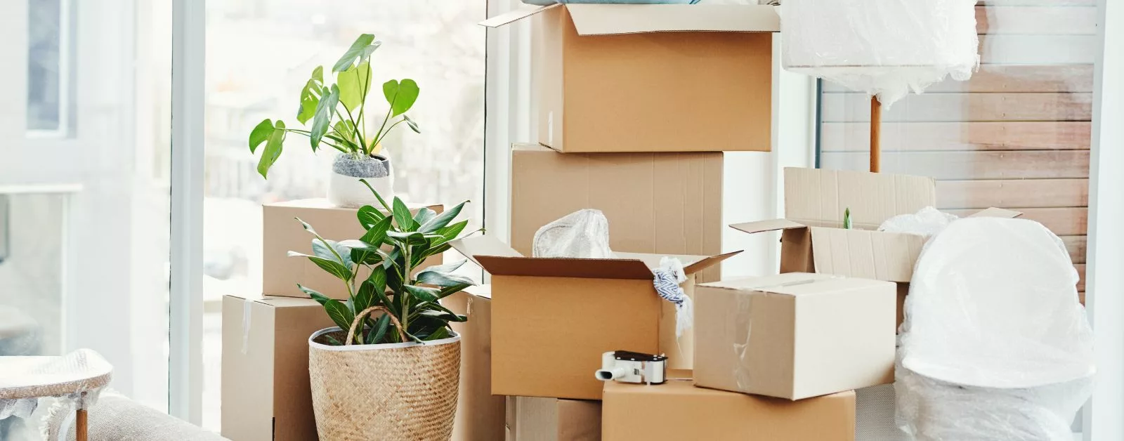 What are the most Googled questions about moving?