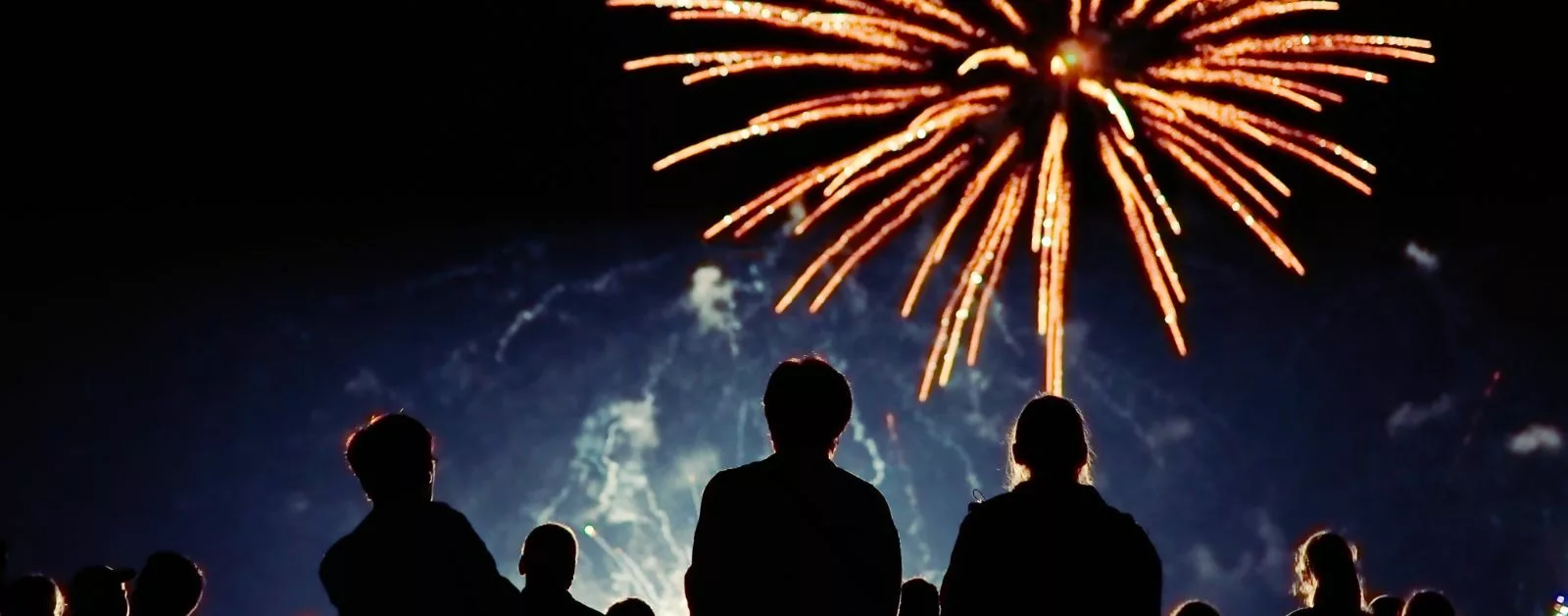 Tips to help keep your pet calm on Bonfire Night