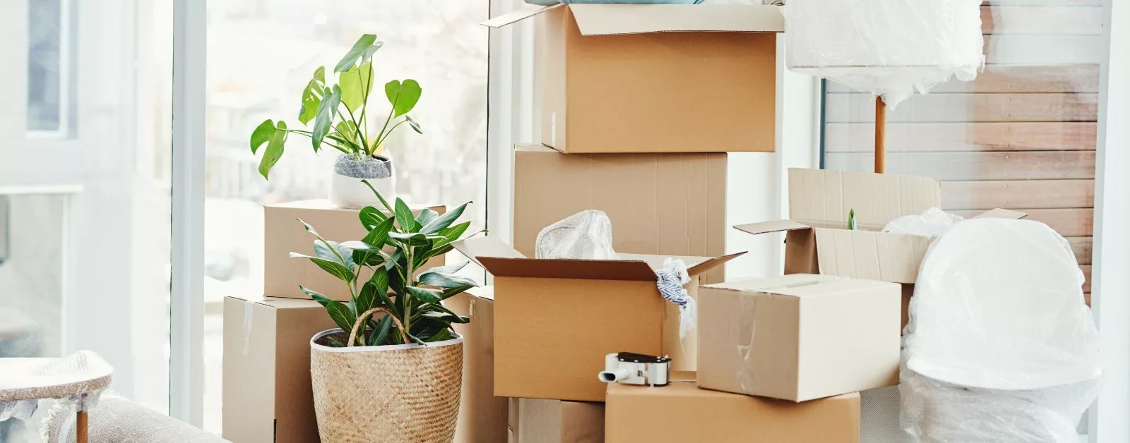The Art of Moving: Stress-Free Strategies for a Smooth Move